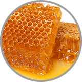 Nahaufnahme von Honigwaben zur Visualisierung des süßen Aromas in edelsüßen Weinen