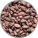 Nahaufnahme von Kakaobohnen zur Visualisierung des schokoladigen Aromas in gereiften Rotweinen