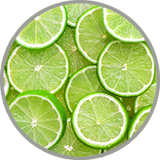Aufgeschnittene Limette in Nahaufnahme zur visuellen Darstellung der spritzig-zitrischen Aromatik in Weißweinen