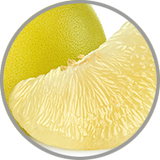 Aufgeschnitten Pampelmuse in Nahaufnahme zur Darstellung des zitrusfrischen Aromas in Weinen