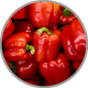 Mehrere rote Paprika in Nahaufnahme zur Darstellung des leicht süßlichen Aromas in Rotwein