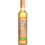 Pecher Mignon Pfirsichlikör 15% 0,5 Liter