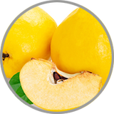 Reife Quitten in Nahaufnahme zur visuellen Darstellung des herb-fruchtigen Aromas in Weißweinen