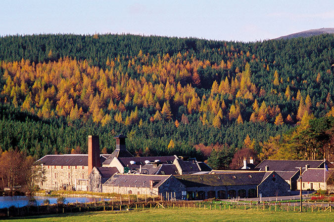 Royal Lochnagar