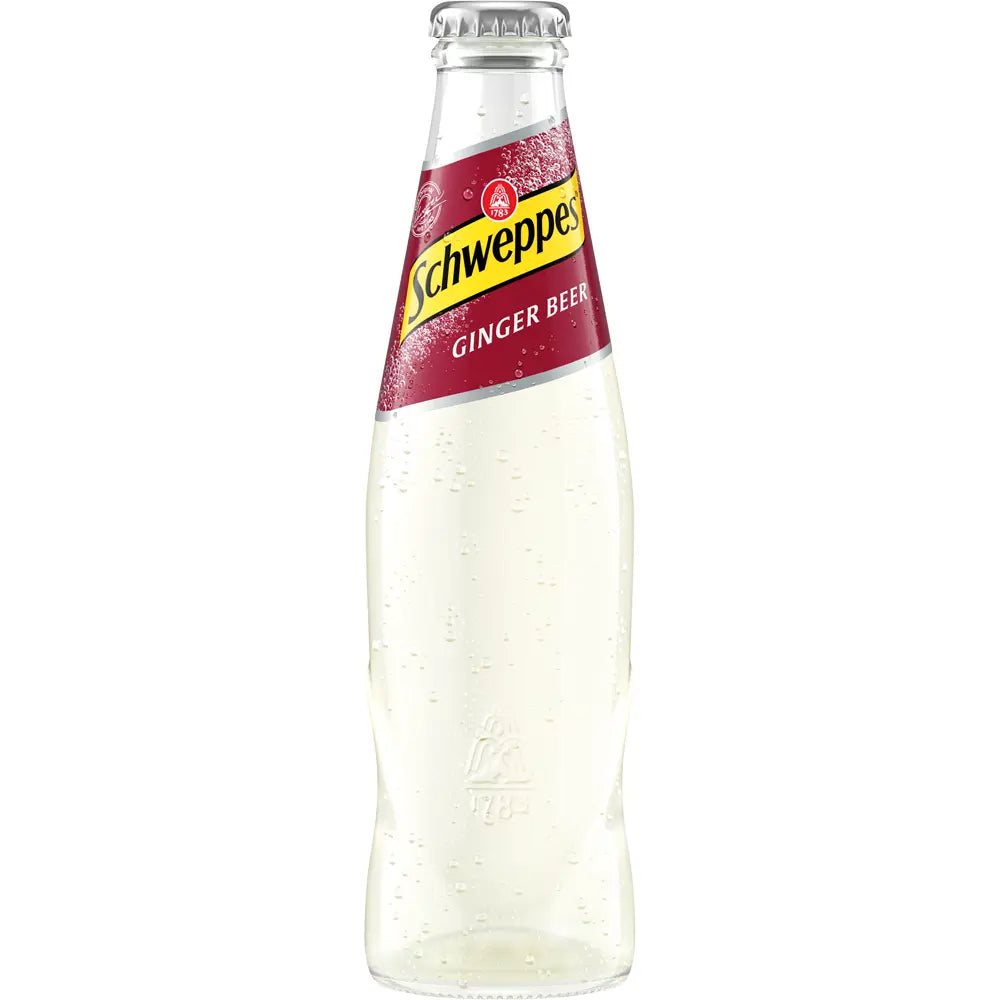 Schweppes Ginger Beer 24x 0,2 Liter (MEHRWEG)