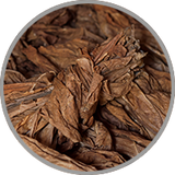 Nahaufnahme von getrockneten Tabakblätter zur Darstellung des würzig-reifen Aromas in komplexen Rotweinen