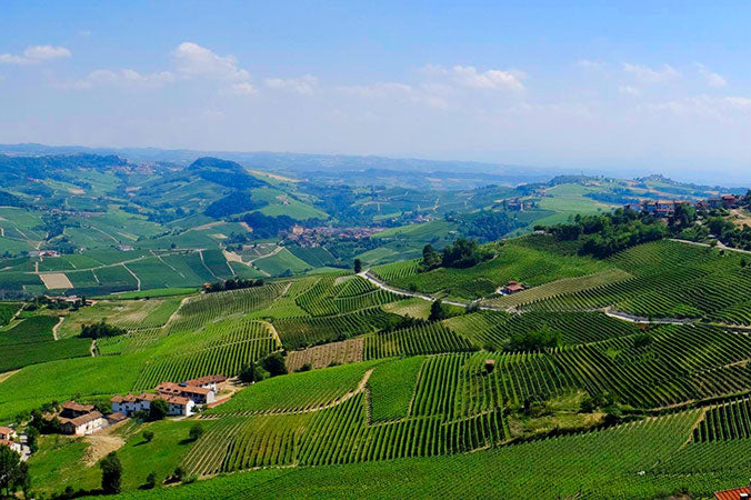 Barolo
