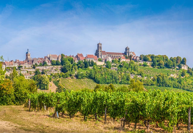 Burgund