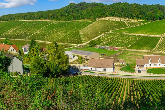 Chablis