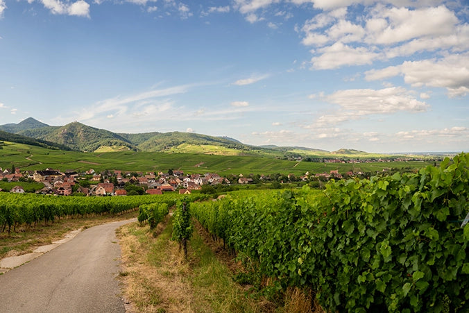 Elsass