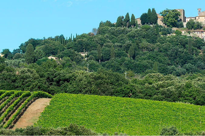 Brunello di Montalcino