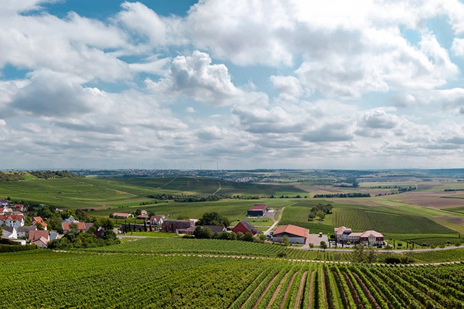 Rheinhessen