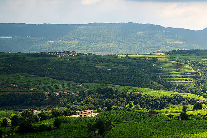 Valpolicella
