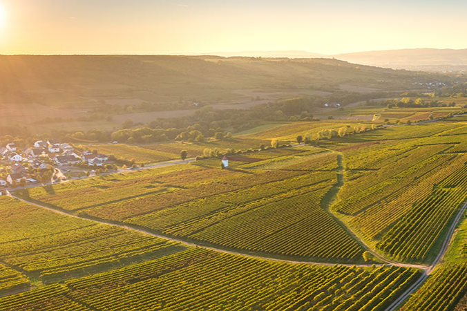 Pfalz