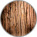 Nahaufnahme von strukturiertem Zedernholz zur visuellen Darstellung des eleganten Holzaroma in klassisch ausgebauten Bordeaux-Weinen