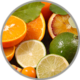 Nahaufnahme verschiedener Zitrusfrüchte zur Visualisierung der frischen Zitrusaromatik in jungen, lebendigen Weißweinen