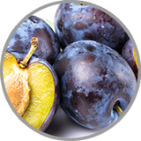 Reife Zwetschgen in Nahaufnahme zur Darstellung für das vollmundige Fruchtaroma in kräftigen Rotweinen